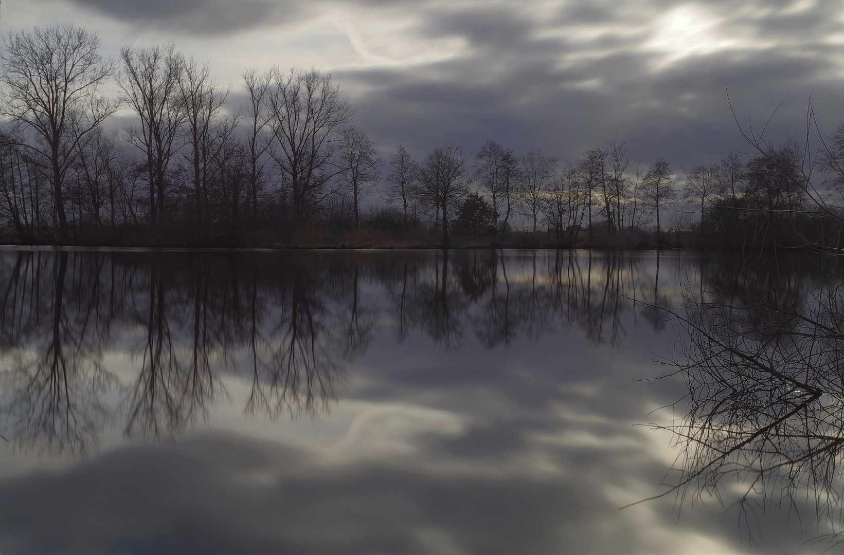 Spiegelung im Moor