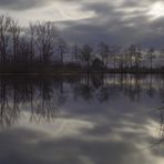 Spiegelung im Moor