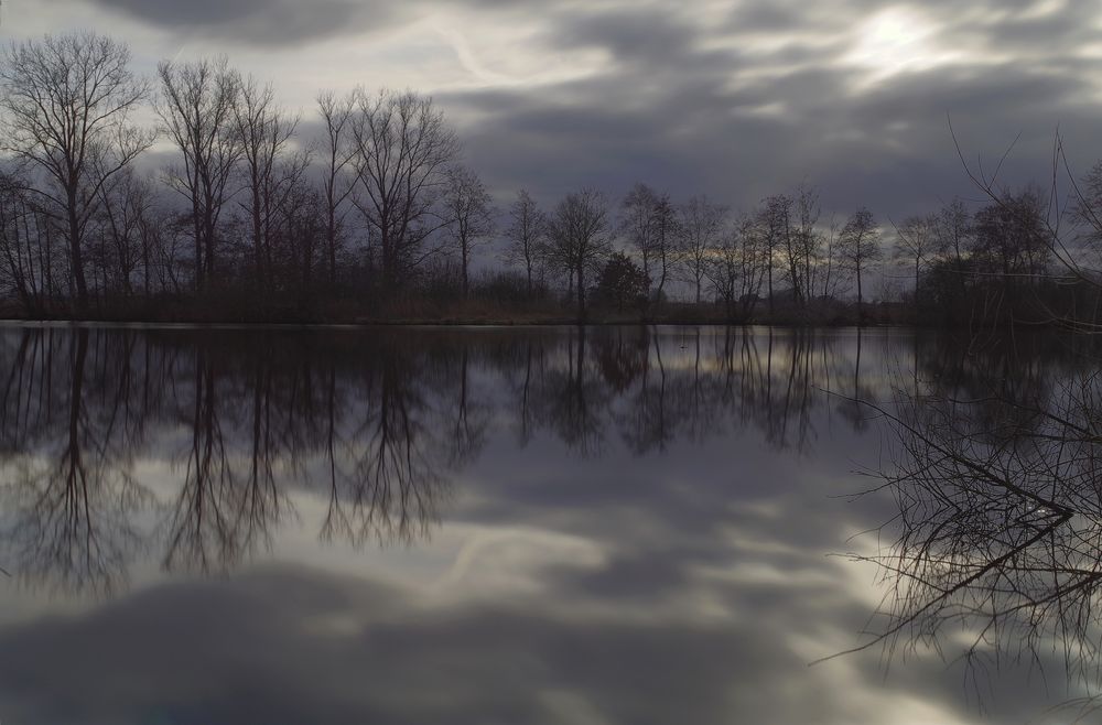 Spiegelung im Moor