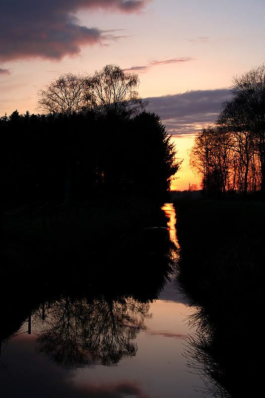 Spiegelung im Moor