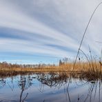 Spiegelung im Moor ..