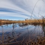 Spiegelung im Moor (fisheye)