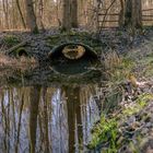 Spiegelung im Moorgraben