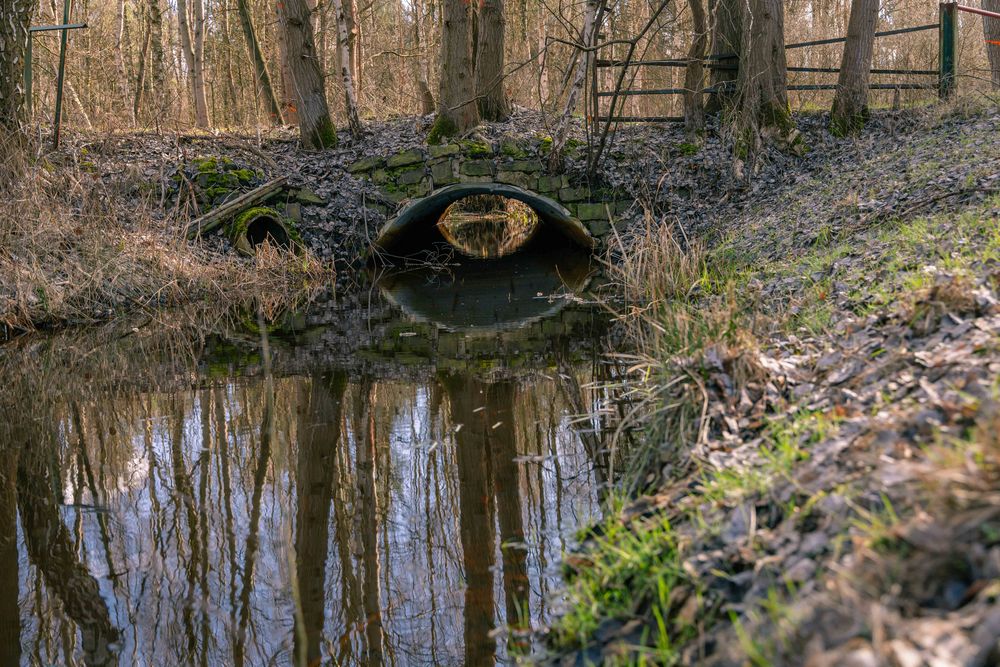 Spiegelung im Moorgraben