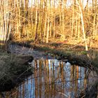 Spiegelung im Mühlenbach ... 