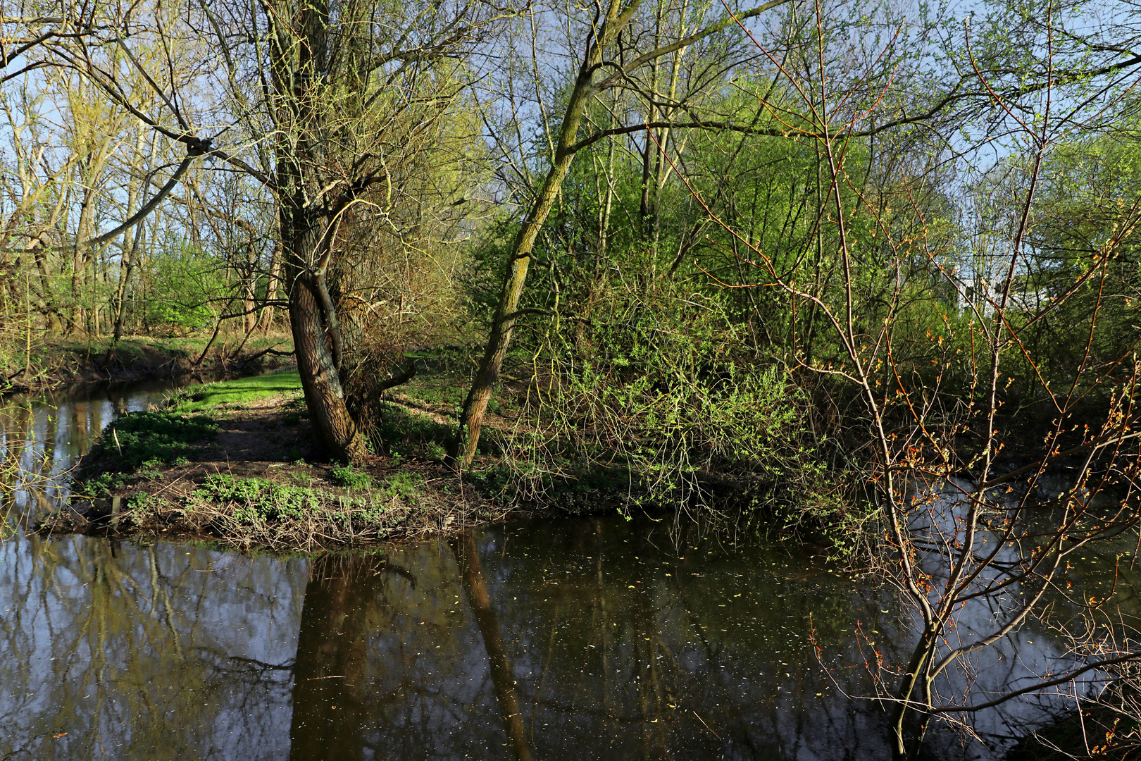 Spiegelung im Mühlengraben