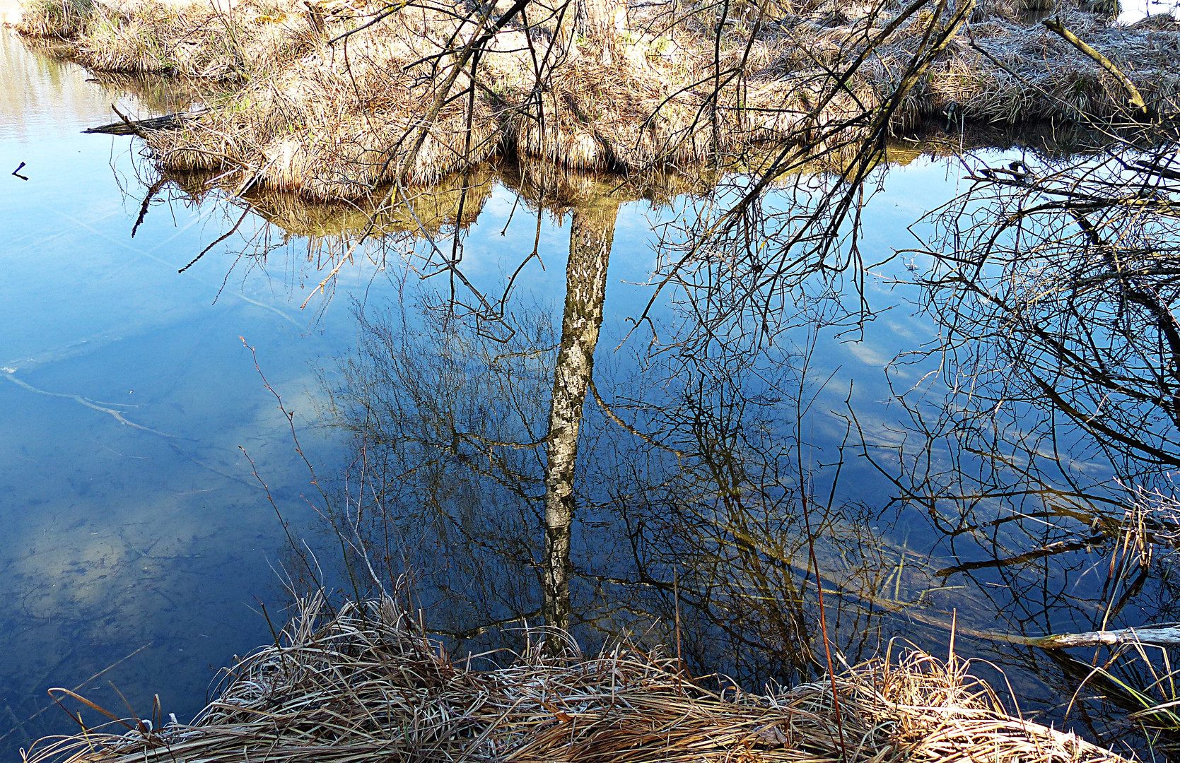 Spiegelung im Naturschutzgebiet