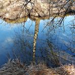 Spiegelung im Naturschutzgebiet