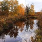 Spiegelung im Naturschutzgebiet