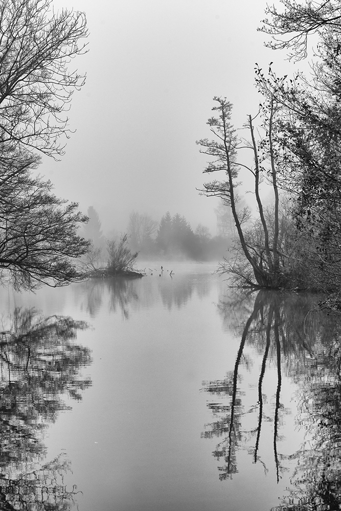 Spiegelung im Nebel