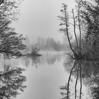 Spiegelung im Nebel