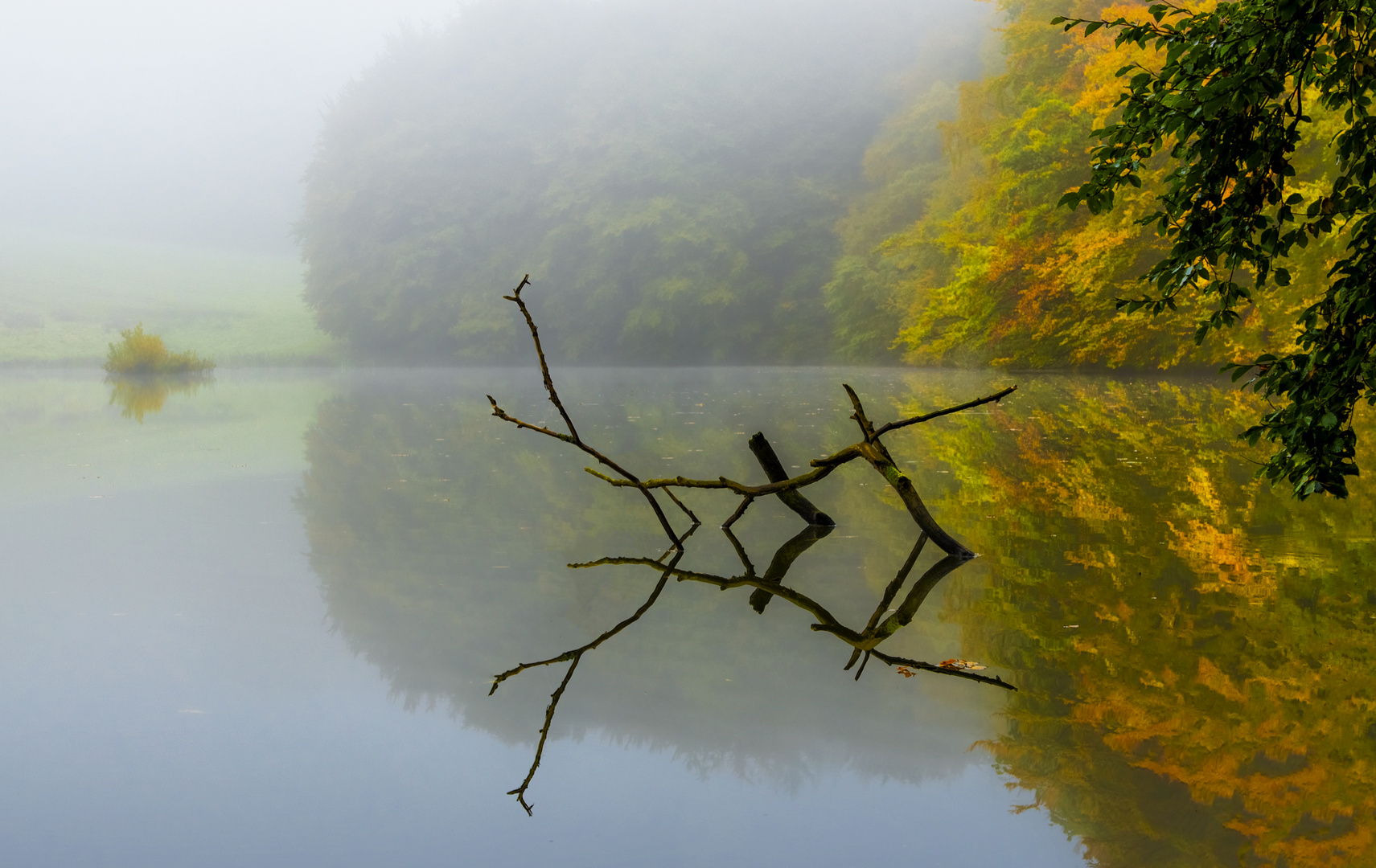 Spiegelung im Nebel