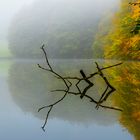 Spiegelung im Nebel