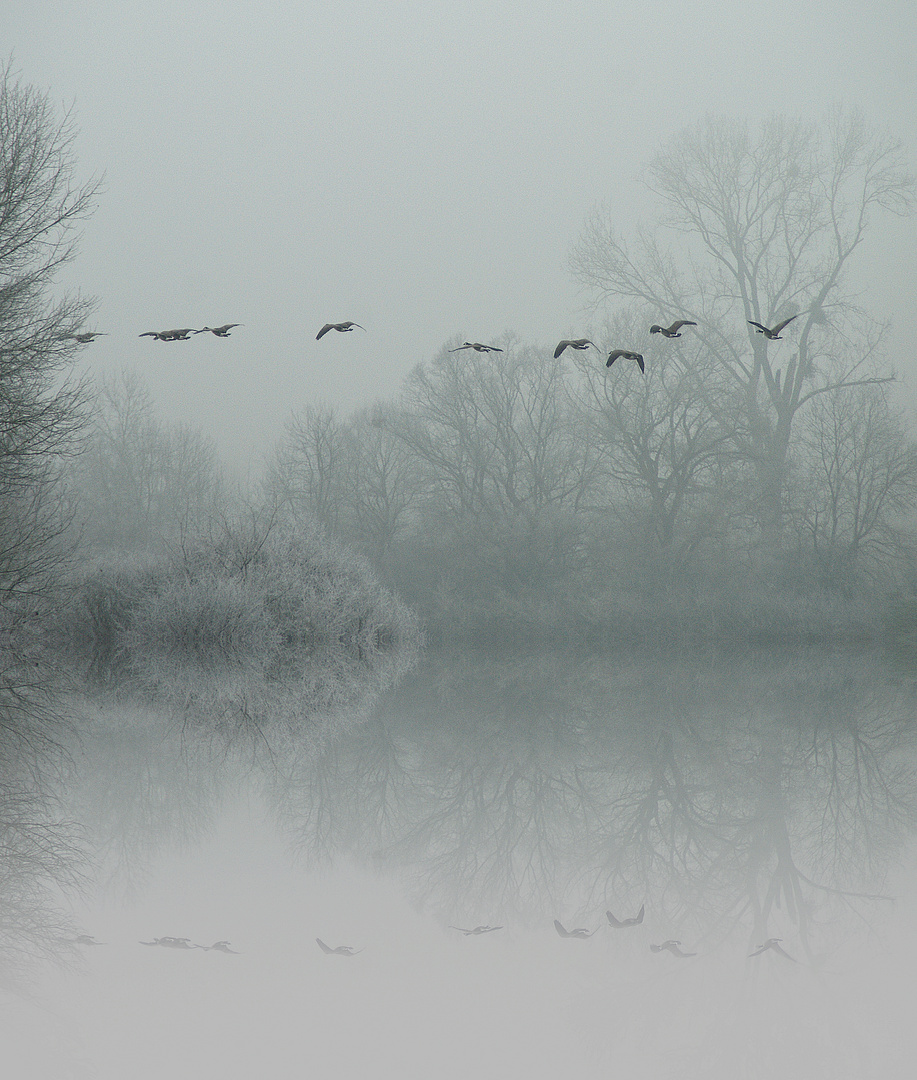  Spiegelung im Nebel