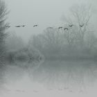  Spiegelung im Nebel