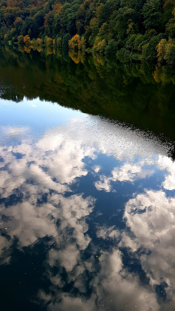 Spiegelung im Neckar