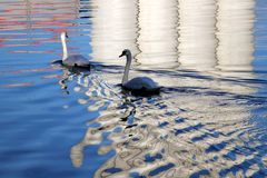 Spiegelung im Neckar