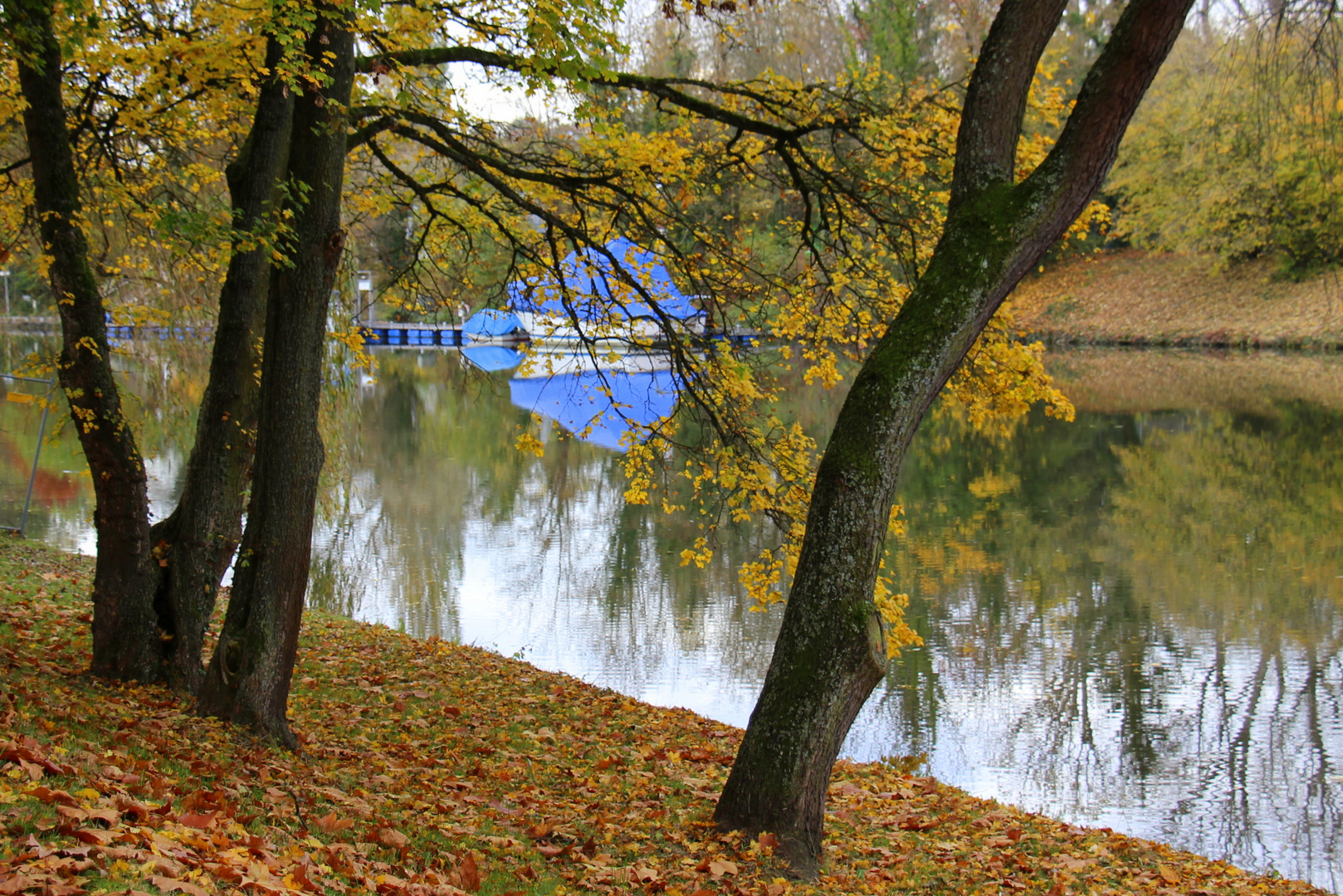 Spiegelung im Neckar