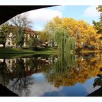 Spiegelung im Neckar