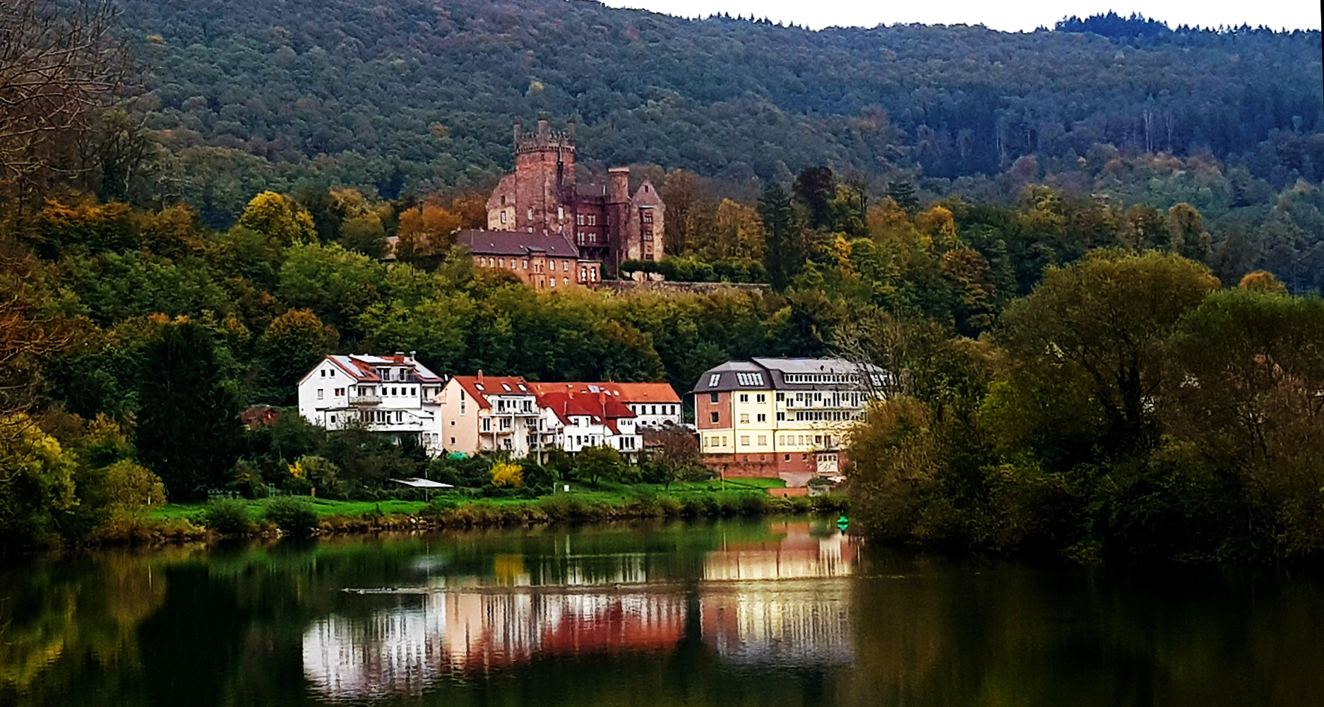 Spiegelung im Neckar - Neckarsteinach, Blick auf die Vorderburg