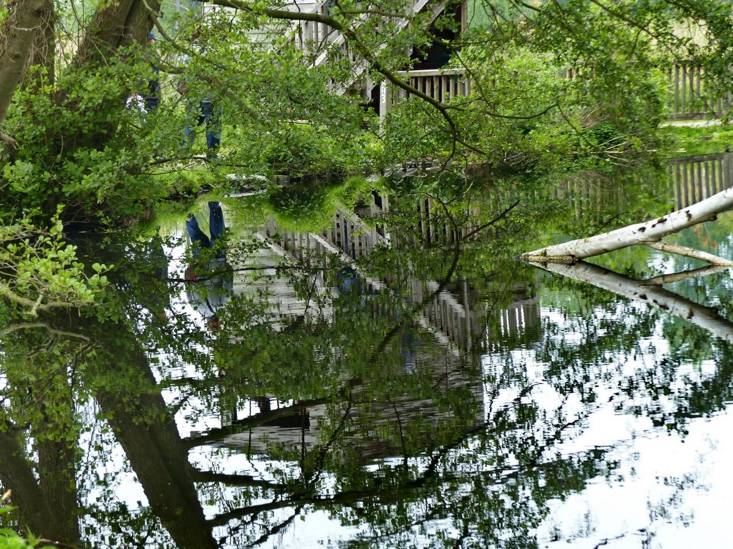 Spiegelung im Nettetal 