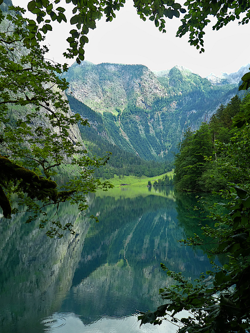 Spiegelung im Obersee bei Berchtesgaden