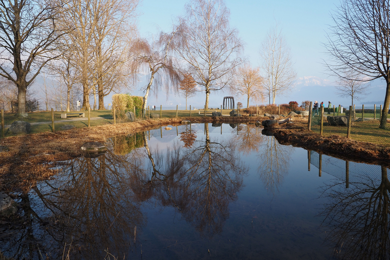 spiegelung im park