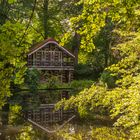 Spiegelung im Park Cuxhaven