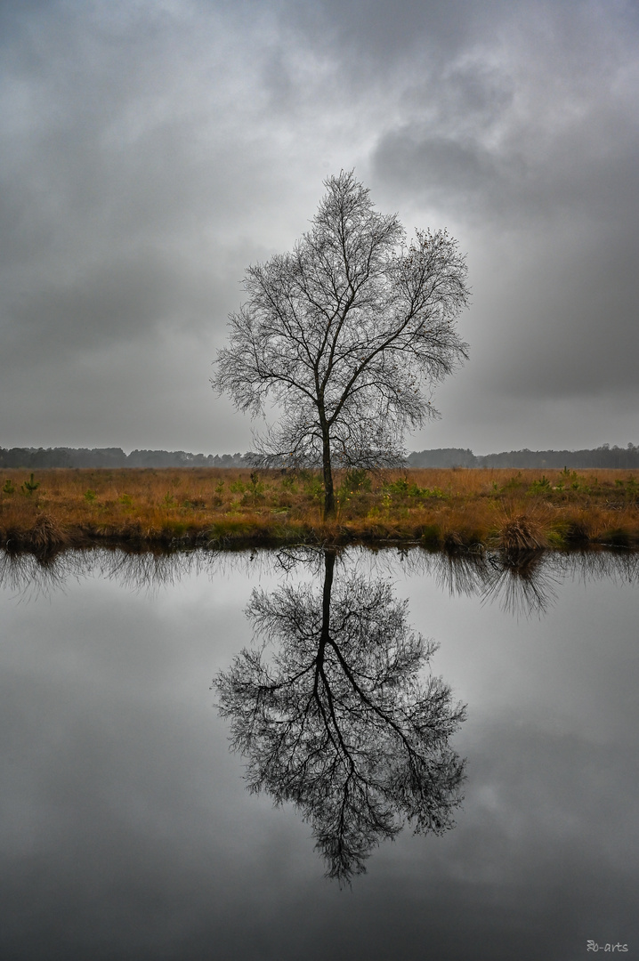 Spiegelung im Pietzmoor