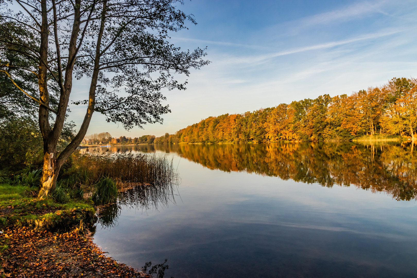 Spiegelung im Ploggensee