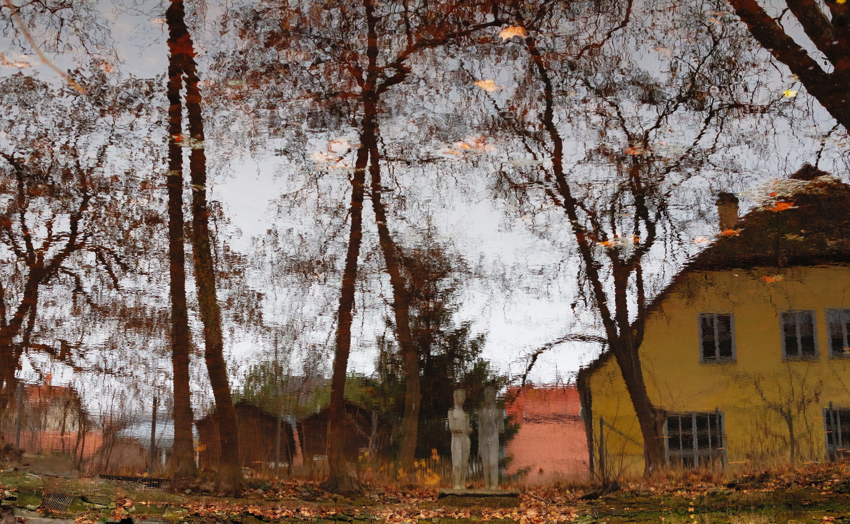 Spiegelung im Pötzleinsdorfer Park