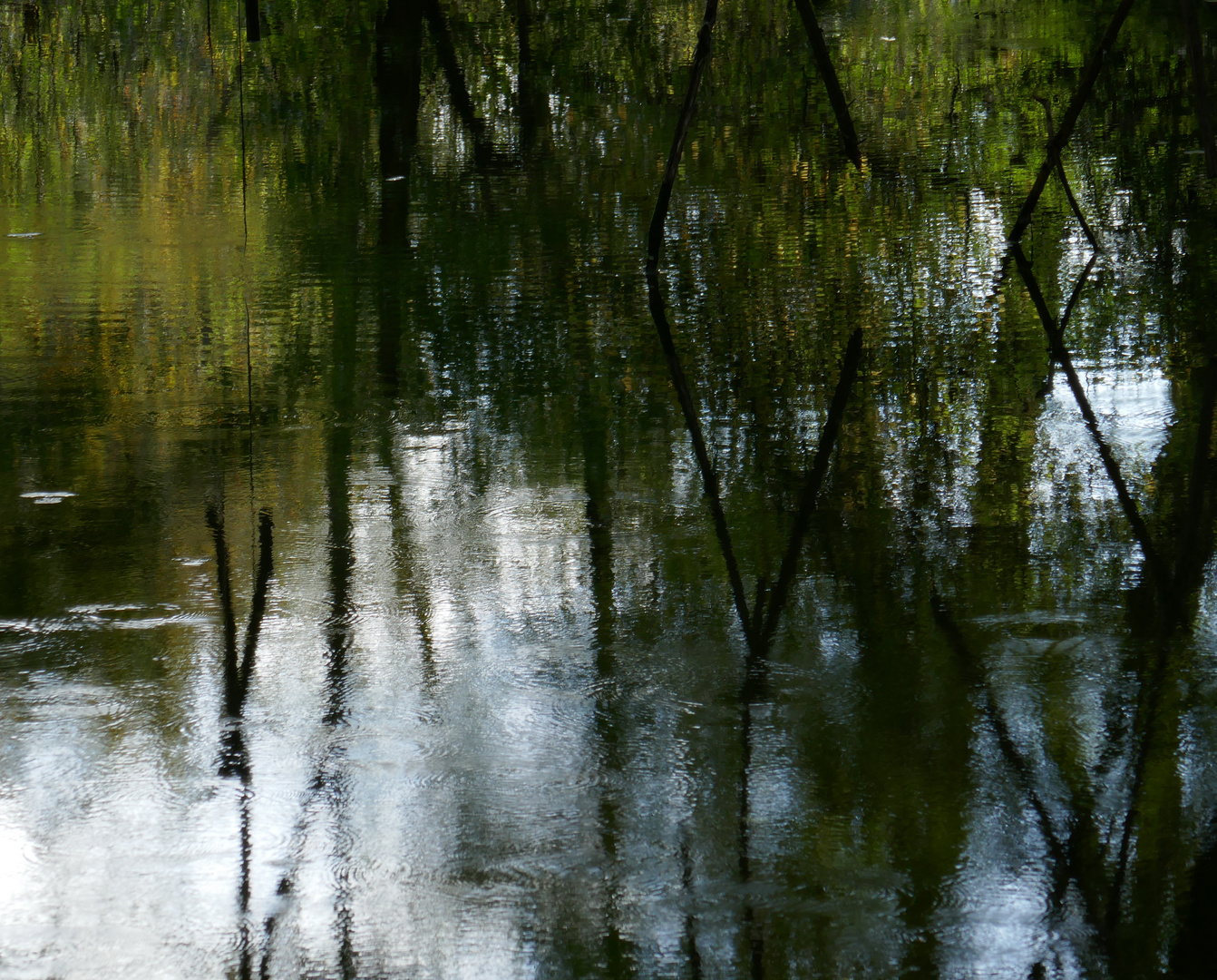 Spiegelung im Regen...