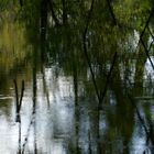 Spiegelung im Regen...