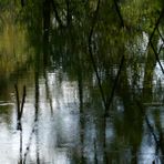 Spiegelung im Regen...