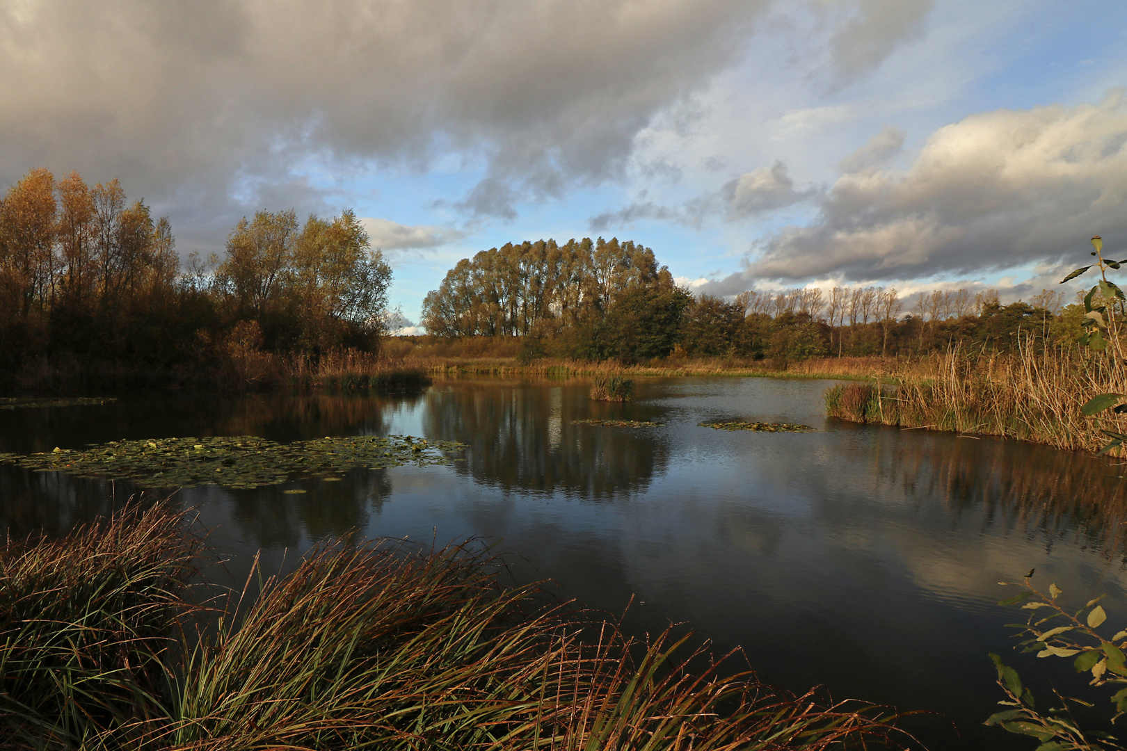 Spiegelung im Regenwasser