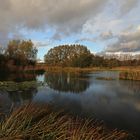 Spiegelung im Regenwasser