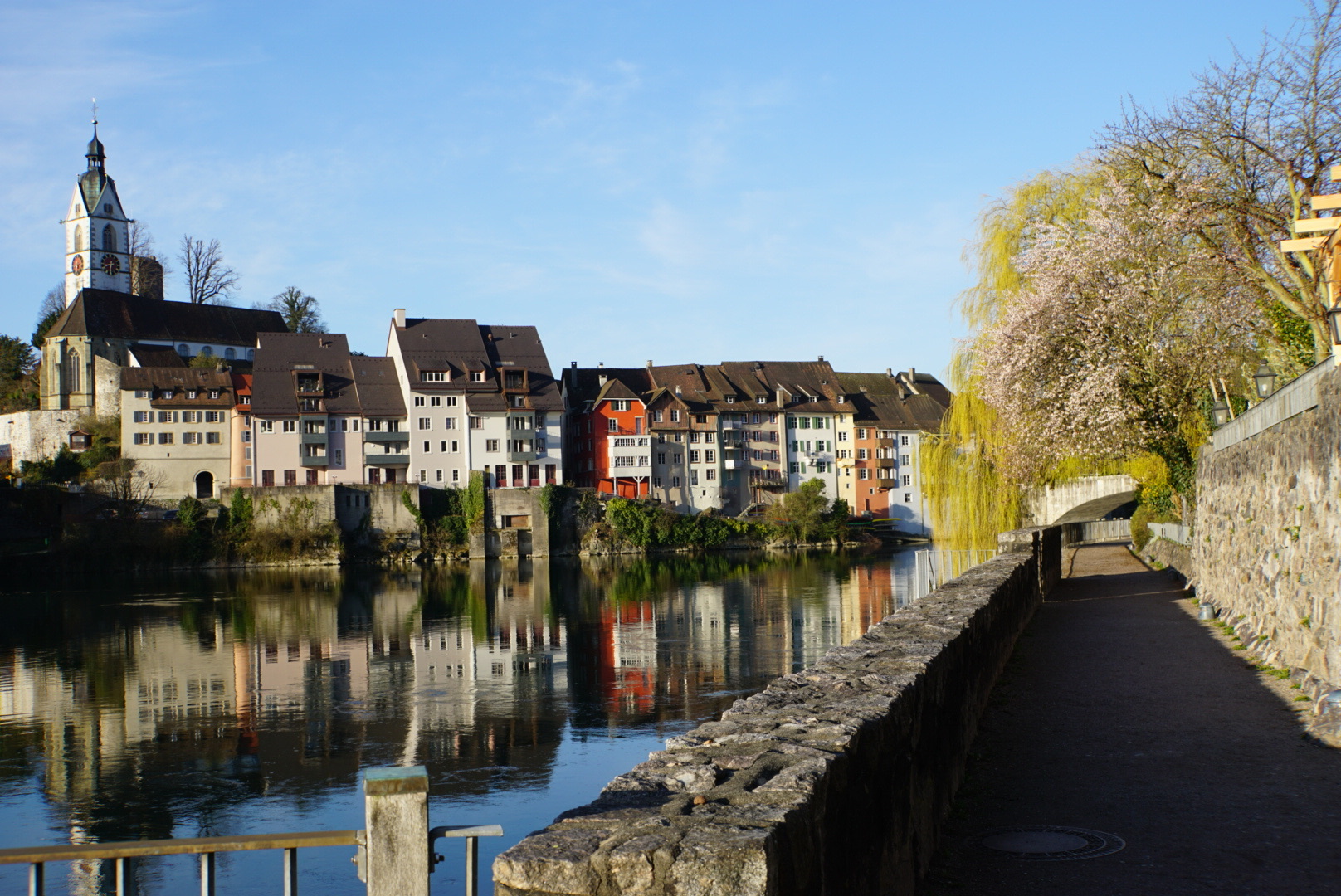 Spiegelung im Rhein