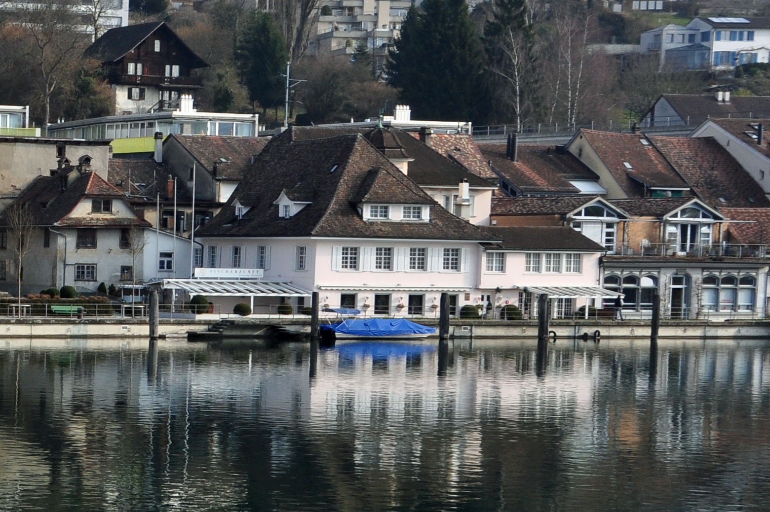 Spiegelung im Rhein