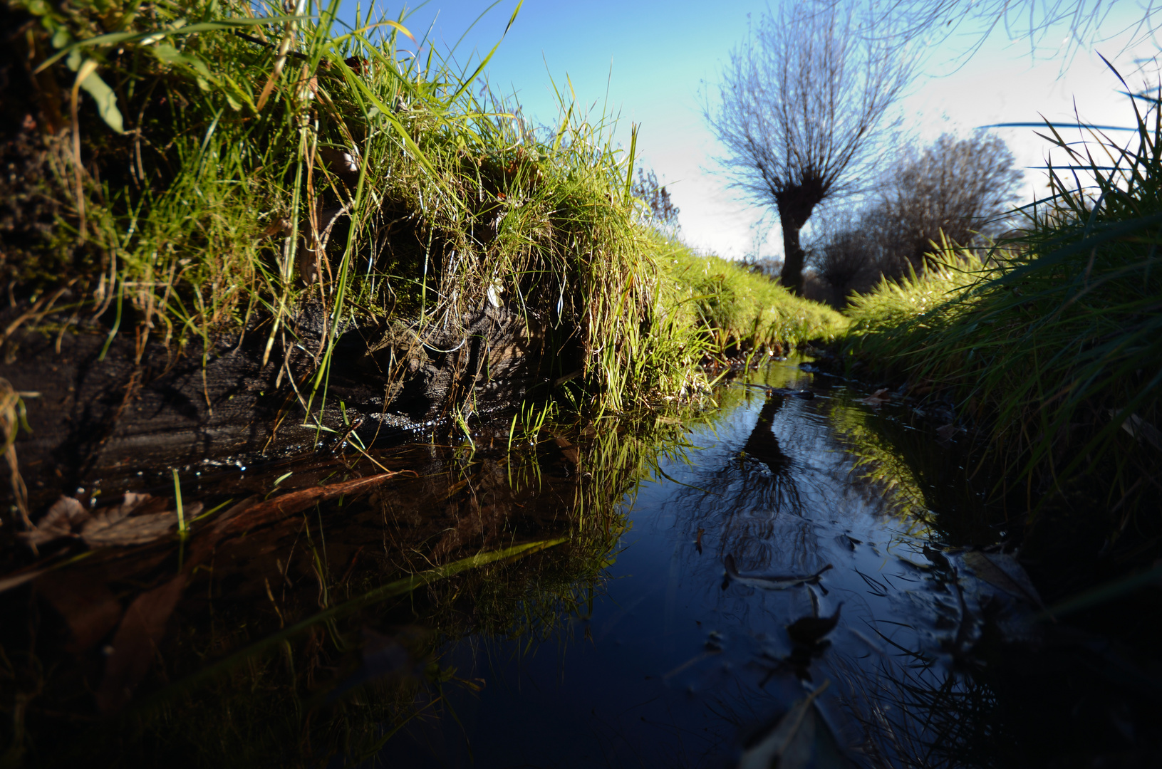 Spiegelung im ruhigen Bachlauf