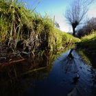 Spiegelung im ruhigen Bachlauf