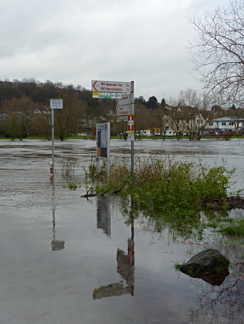 Spiegelung im Ruhrhochwasser