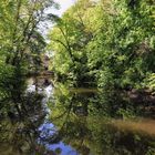 spiegelung im schloßgraben