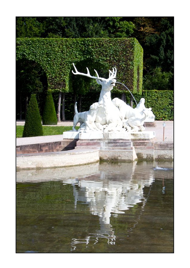 spiegelung im schlosspark schwetzingen (1) ...