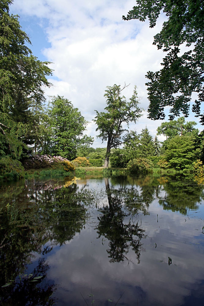 Spiegelung im Schlossteich