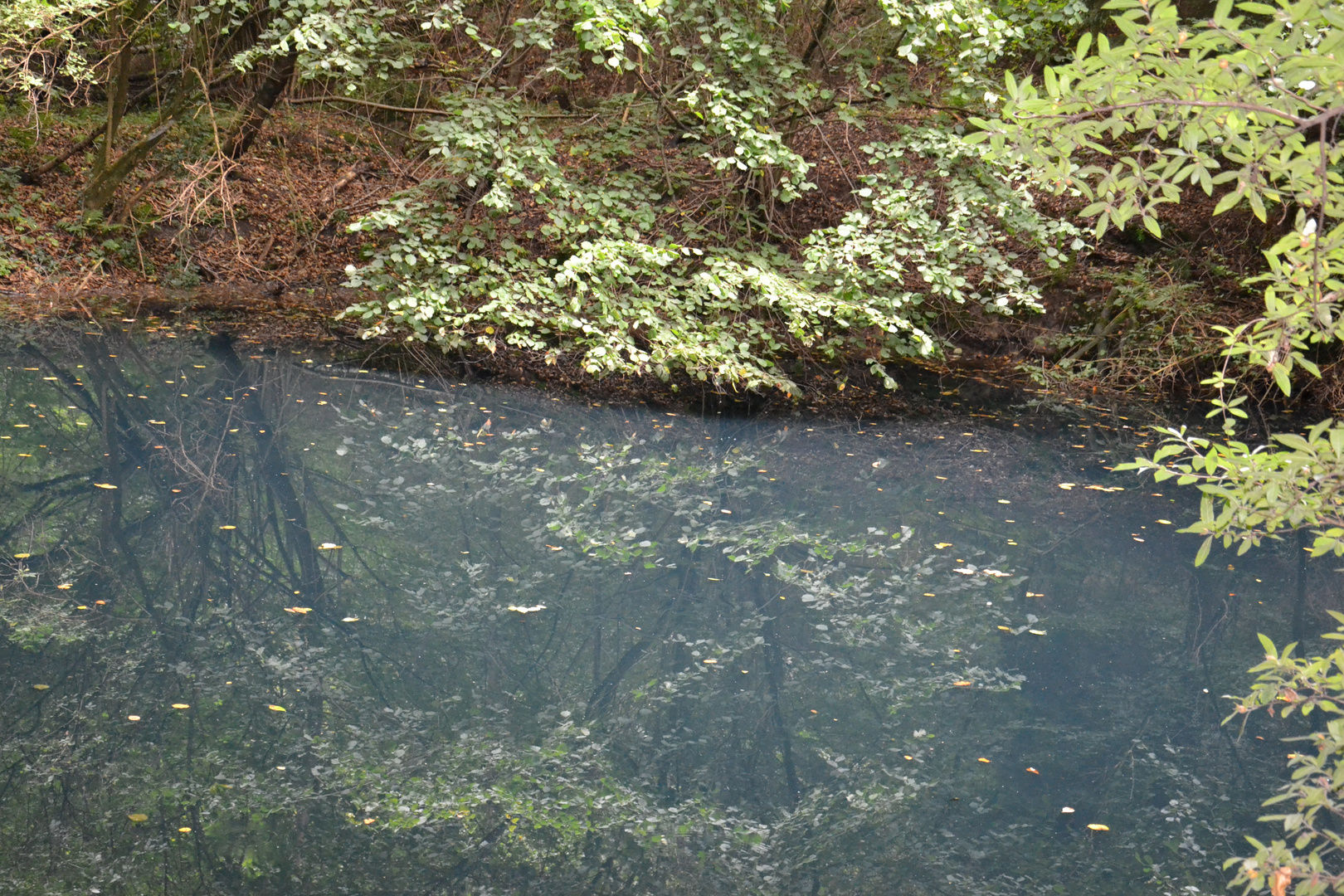 Spiegelung im schwarzen See