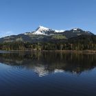 Spiegelung im Schwarzsee