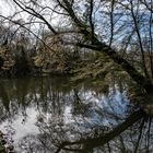 Spiegelung im Schwetzinger Schloßpark