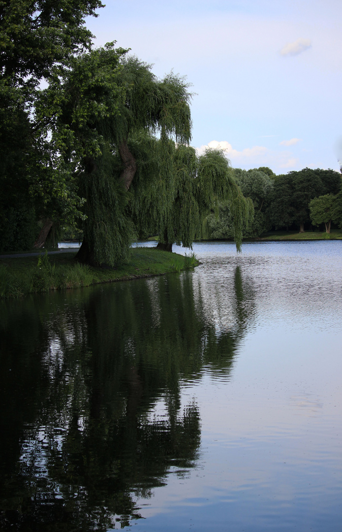 Spiegelung im See