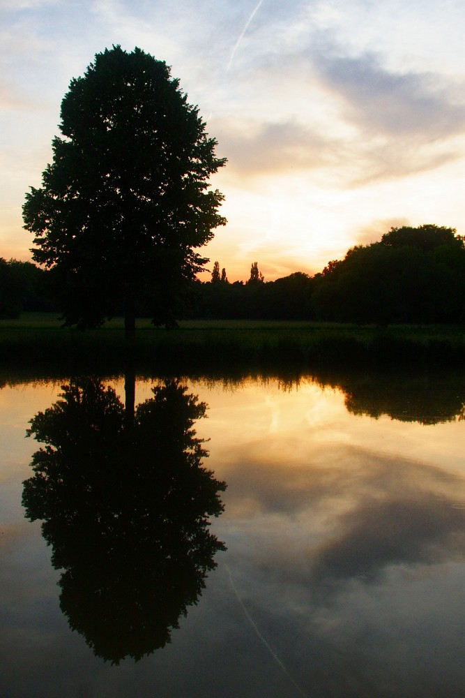 Spiegelung im See