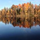 Spiegelung im See